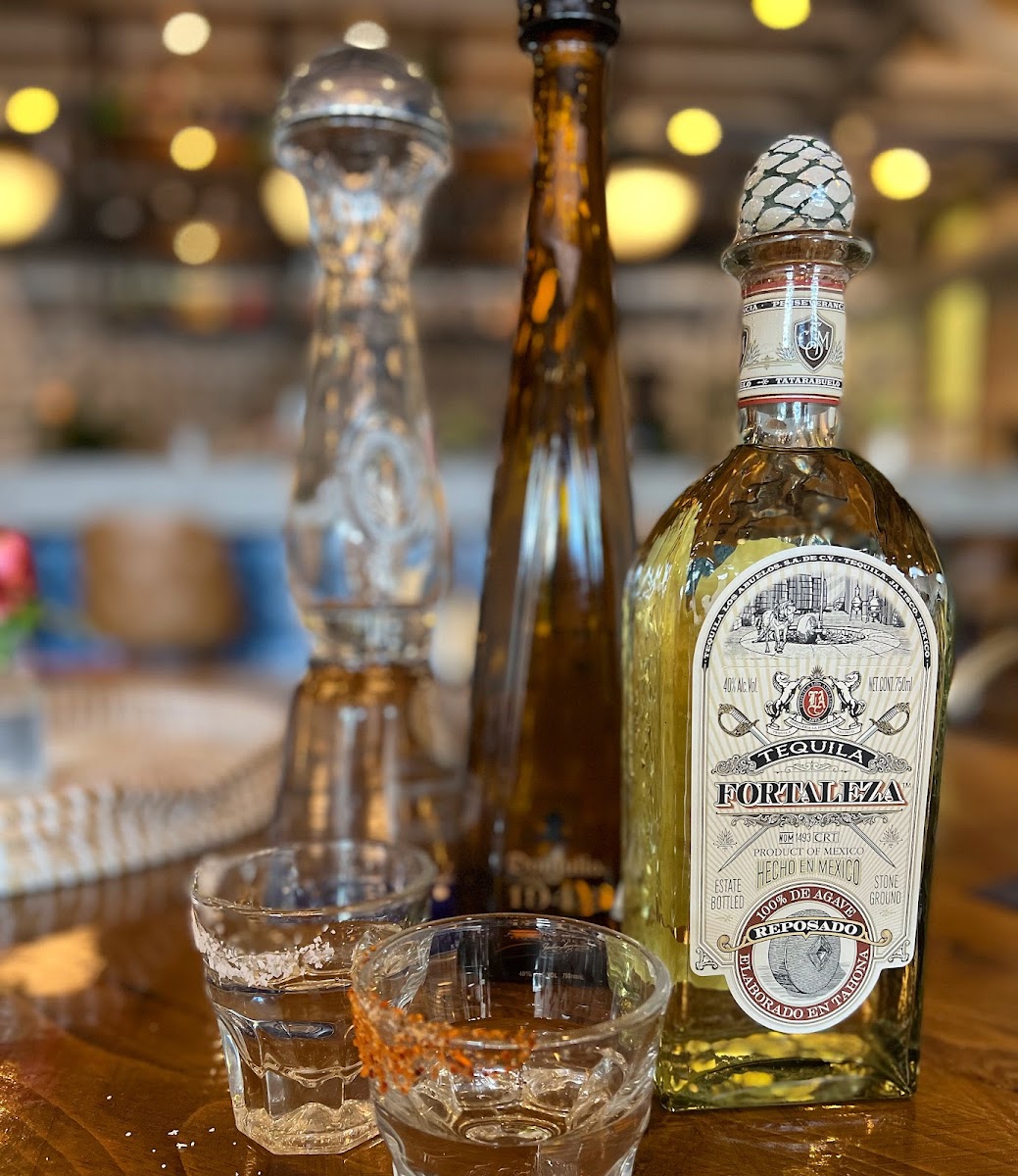 Wild Cactus Cantina & Grill-3