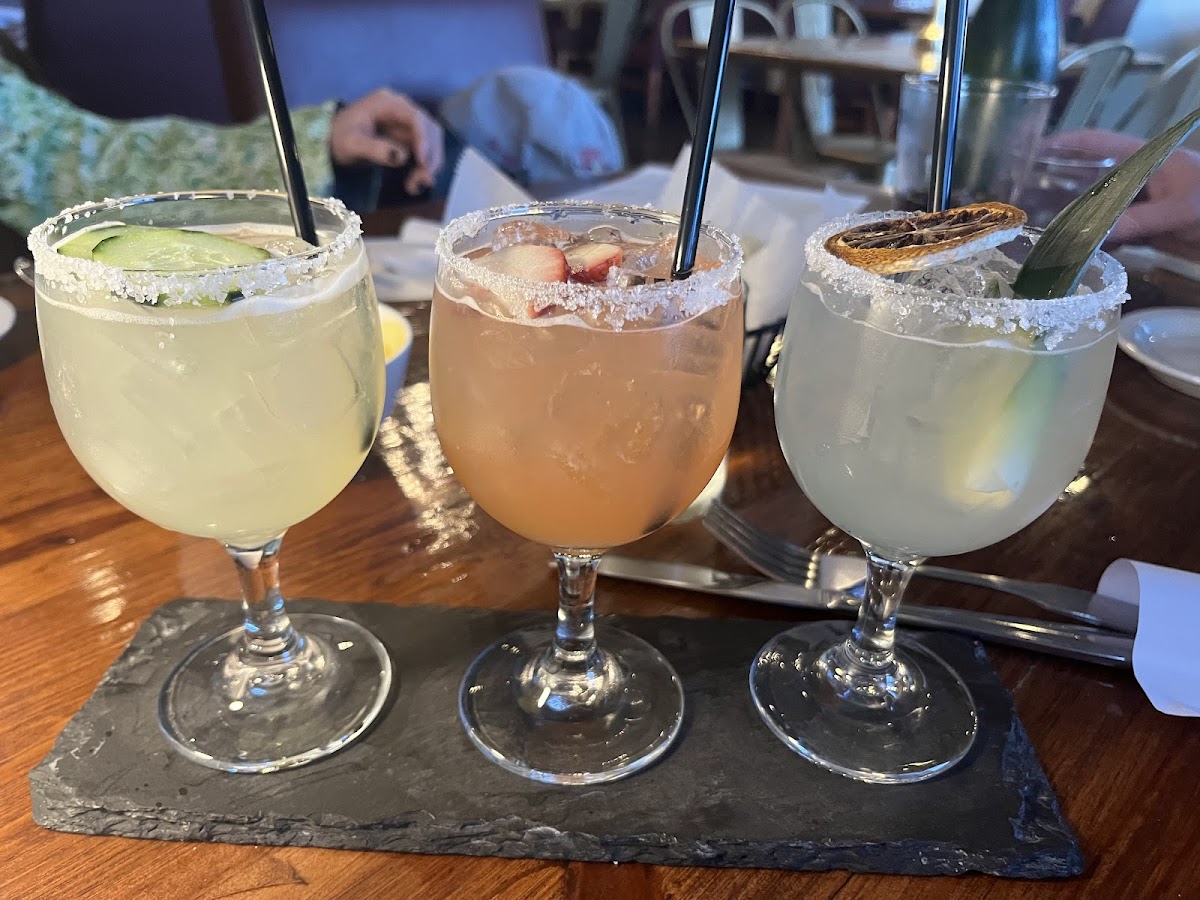 Wild Cactus Cantina & Grill-6